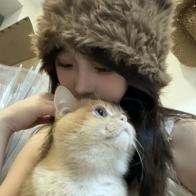 驶入心途